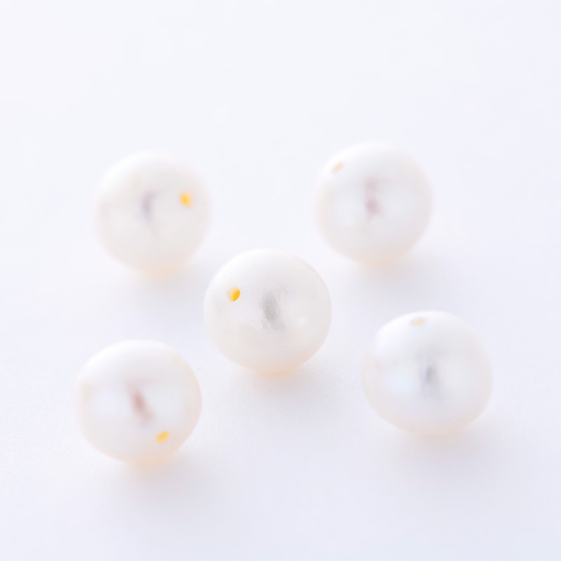 ��������Υ������ȥѡ��른�奨�꡼���֥쥹��å�