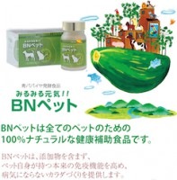 青パパイヤ酵素・BNペットみるみる元気(ボトル入) 55g|サプリメント|栄養補助食品・お手当