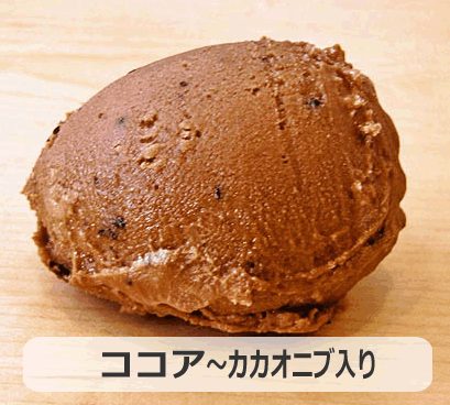 �ʥ�����Ʀ�����������������ʥ������˥������ 91ml�������ء�