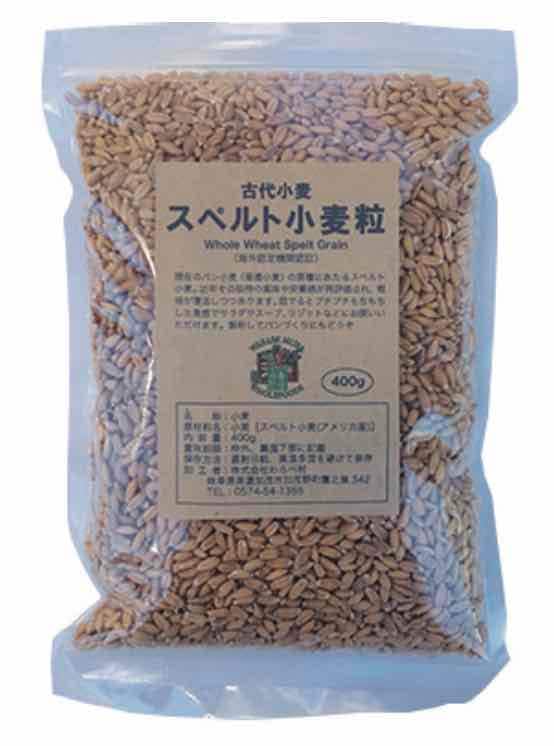 ���ڥ�Ⱦ���γ��2�������ۡڶ�̳�Ѥ����