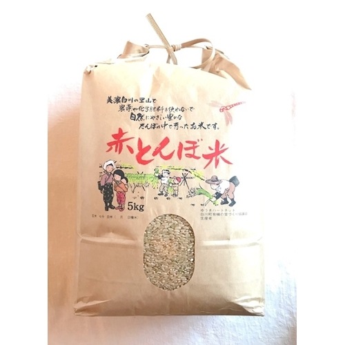 ڿ١礵θ(츩̵̵)R6ǯ2