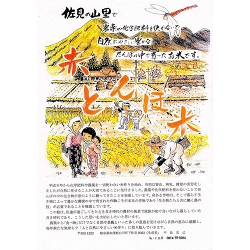ڿ١礵θ(츩̵̵)R6ǯ2