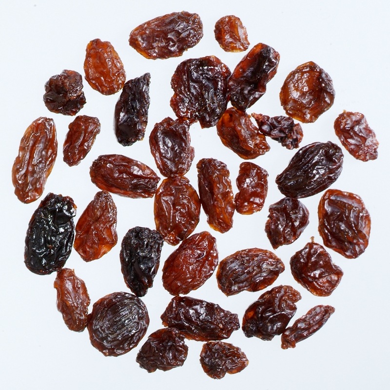 ͭ���졼�����3�������ۡڶ�̳�Ѥ����