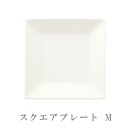 �����ơ����������ץ졼��M�ڼ���