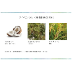 �륢�� �ʥ�����ޥ�������ڥ󥷥� 1.1g��2���顼��