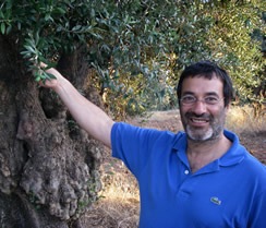 �������⡼�� ͭ��EX-V���꡼�֥������2��������