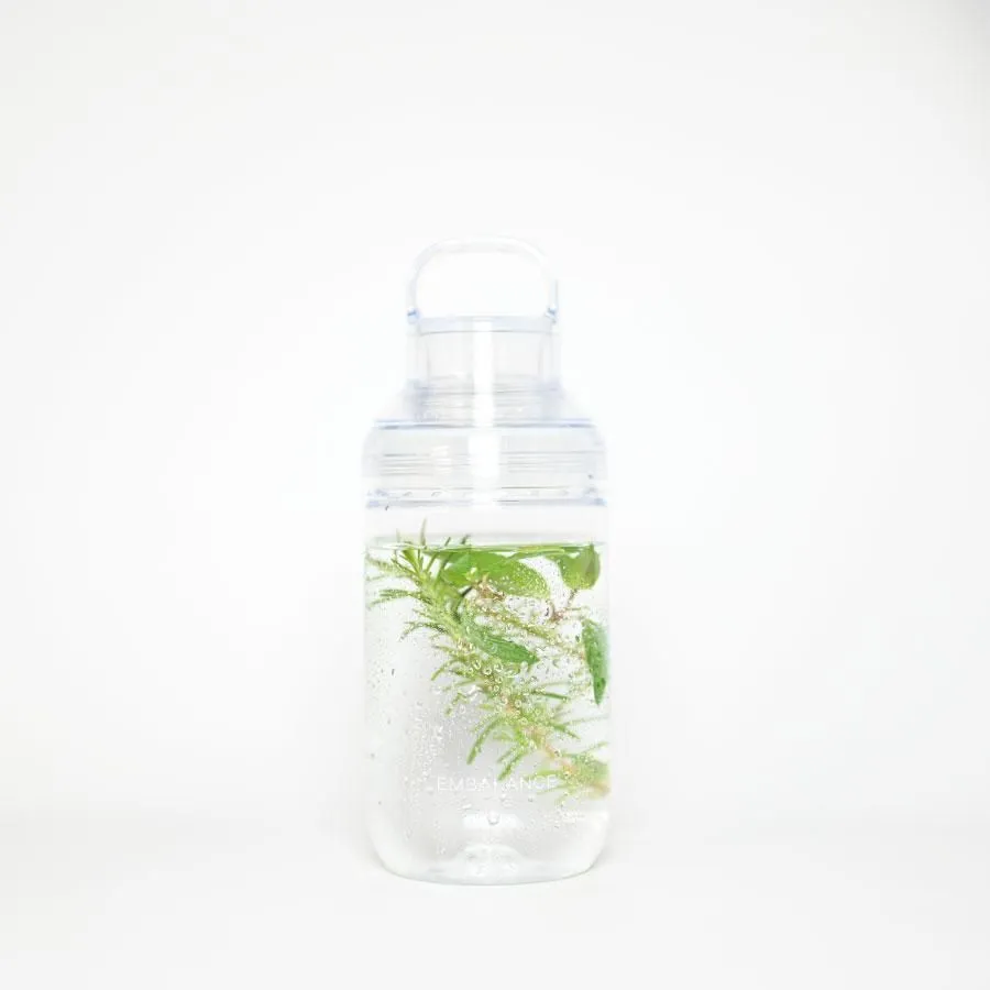 ����Х�� ���󥶥����ܥȥ� 700ml����2���顼��