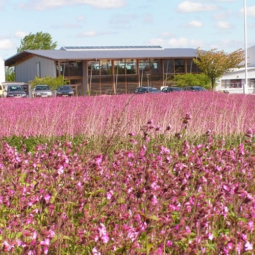 ����ƥ���� �������˥å� ���顼&���᡼������ �����ס� ������  250ml