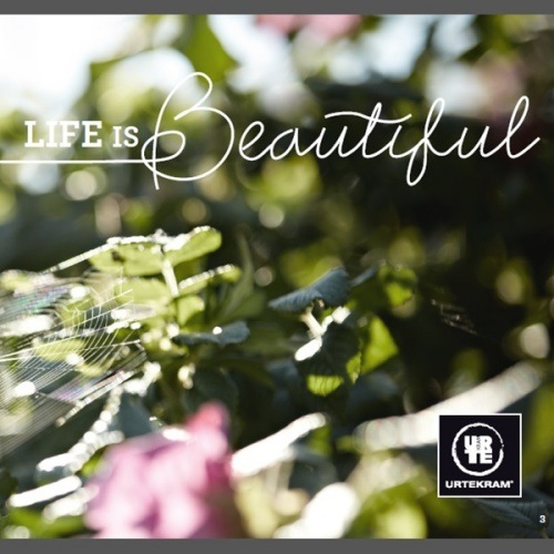 ����ƥ���� �������˥å� ���顼&���᡼������ �����ס� ������  250ml