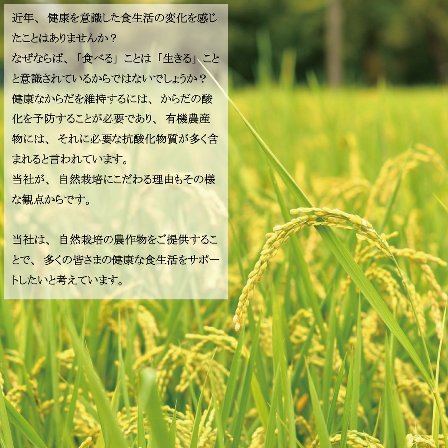 ��ͭ��JASǧ�ڡ� �������μ��������ơʸ��ơˣ���