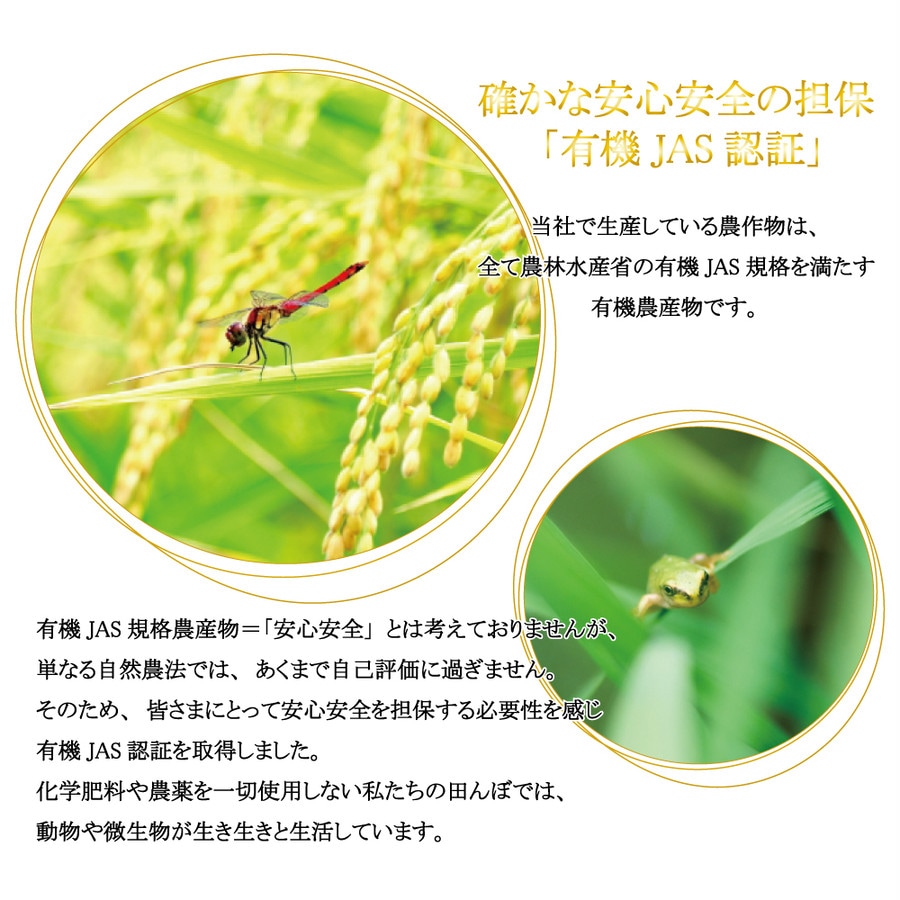 ��ͭ��JASǧ�ڡ� �������μ��������ơʸ��ơˣ���