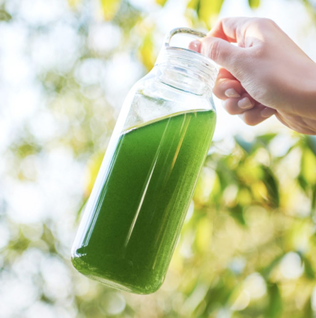 KAKERU MIDORI�ʥ������ѥ�������20����