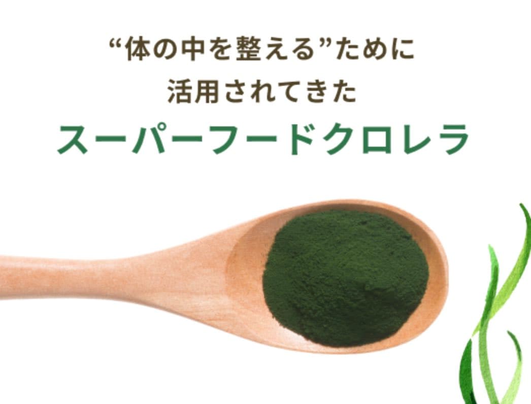 KAKERU MIDORI�ʥ������ѥ�������20����