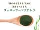 KAKERU MIDORI�ʥ������ѥ�������20����