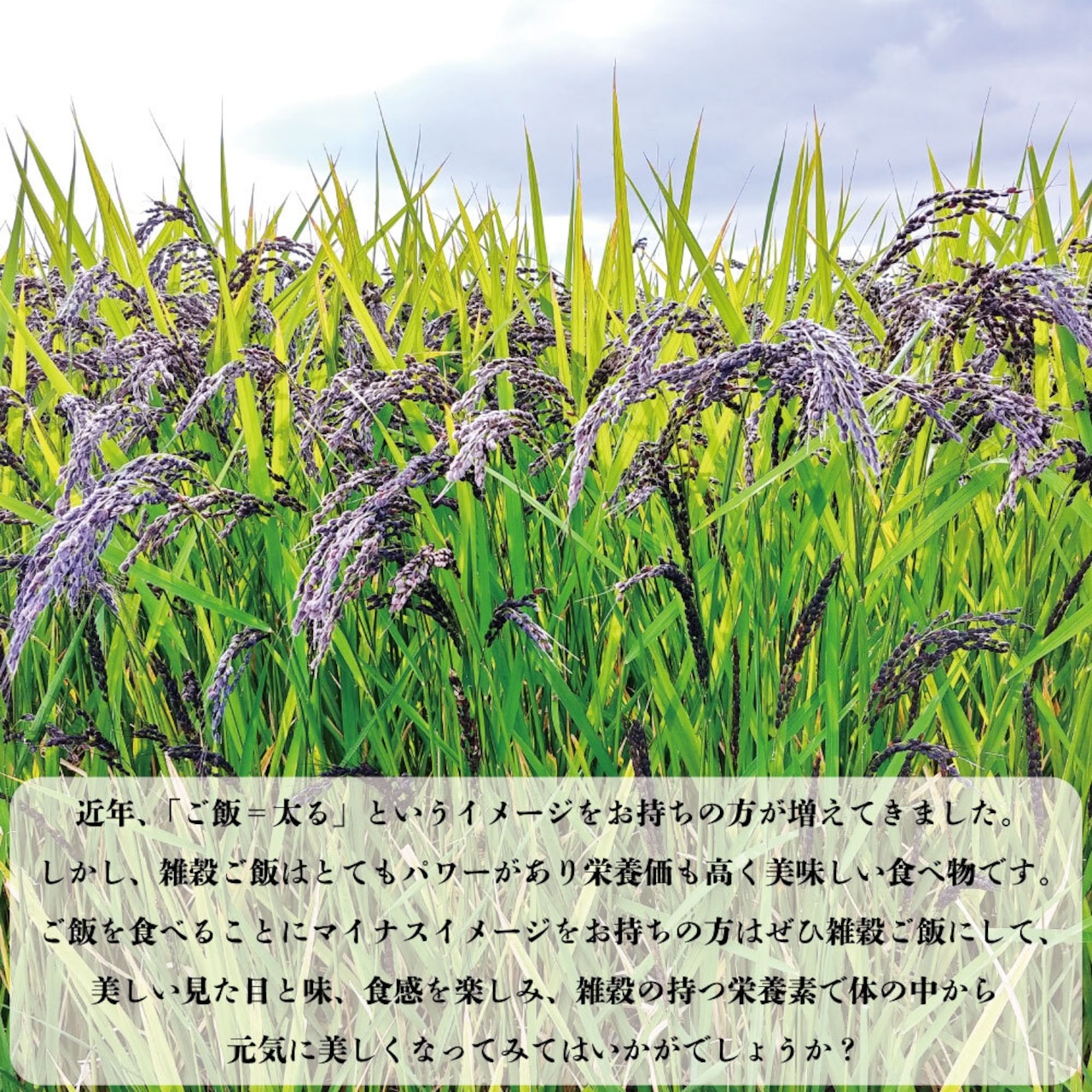 ����ʪ�졡ͭ������ 180g