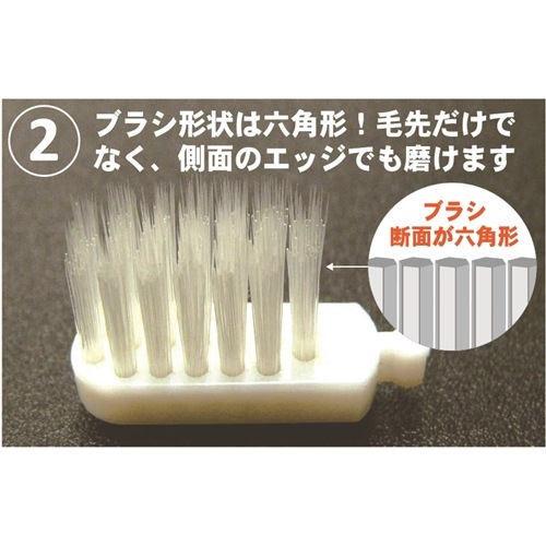 ����ɥߥ塼 �ϥ˥������Υ��å�(����ѥ����إ֥饷2����)��5���顼��