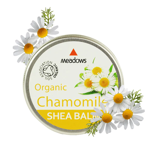 �������˥å������С��� ����ߡ��� 50ml�ڼ���