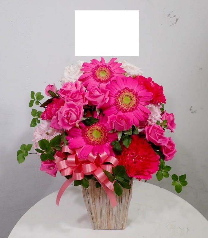 ����󥸥��ȡ�A-009��