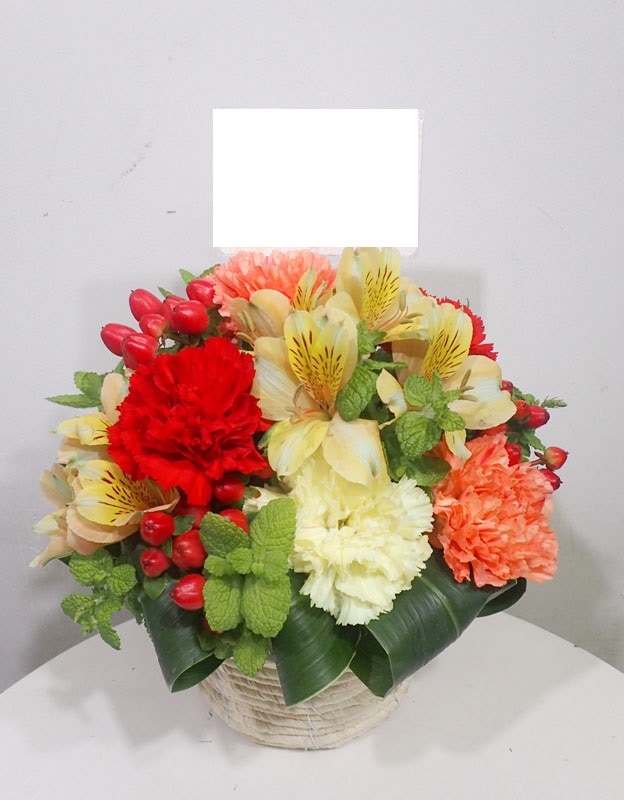 ����󥸥��ȡ�A-016��