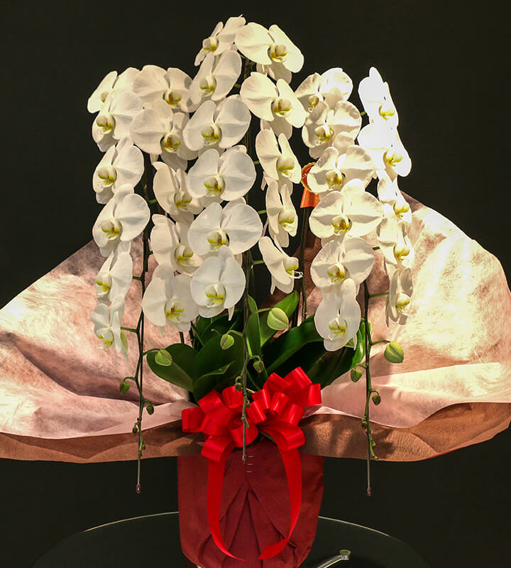 ��ĳ����R-002��