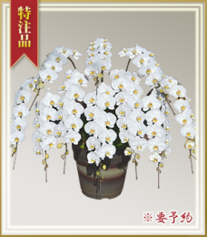 ��ĳ����R-004��