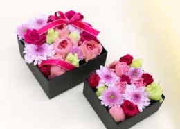 󥸥ܥåեHAHA003