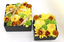 󥸥ܥåեHAHA004