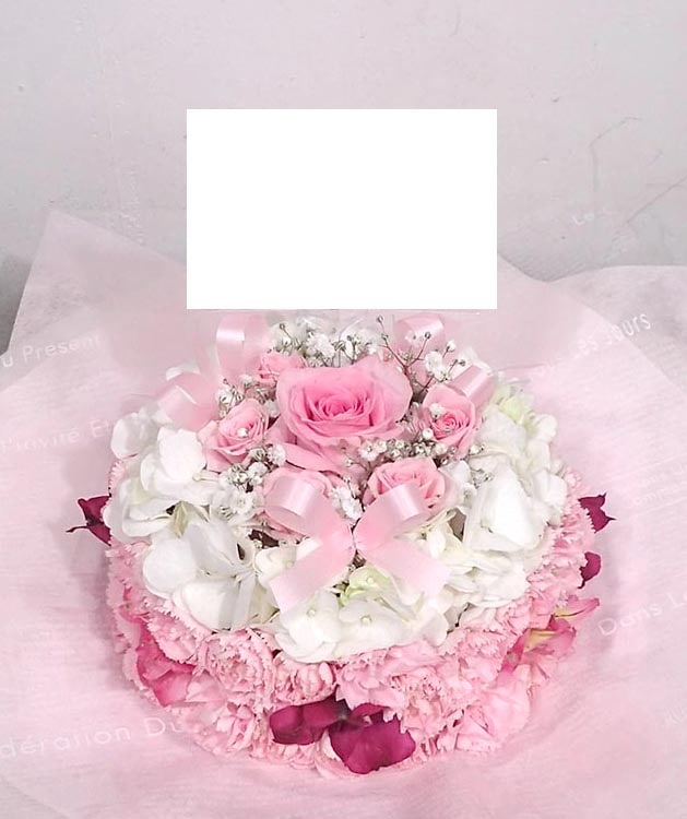 �������ե���C-006��