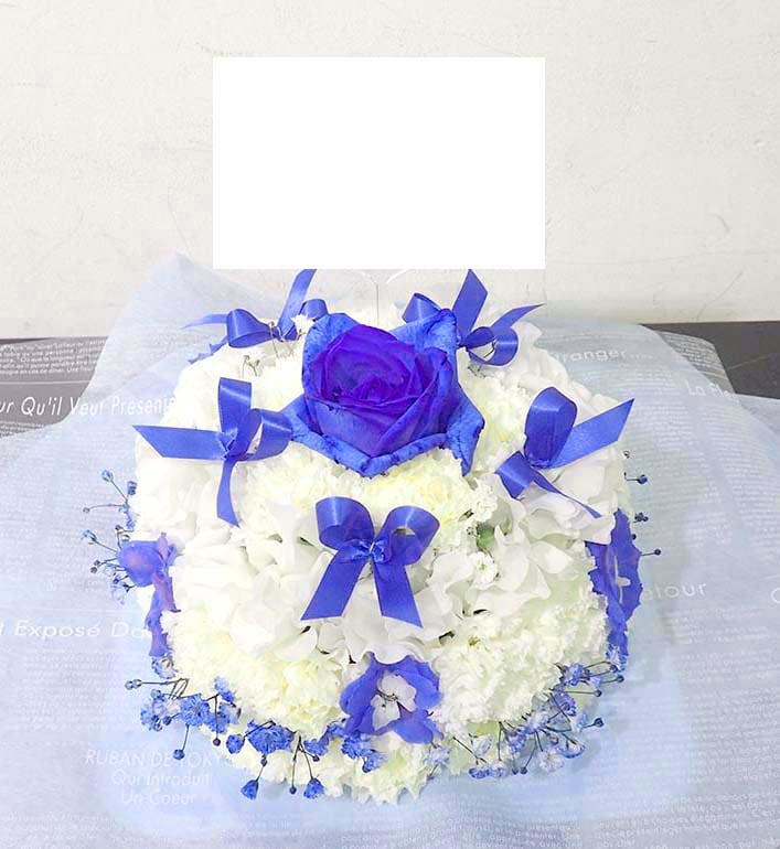 �������ե���C-007��