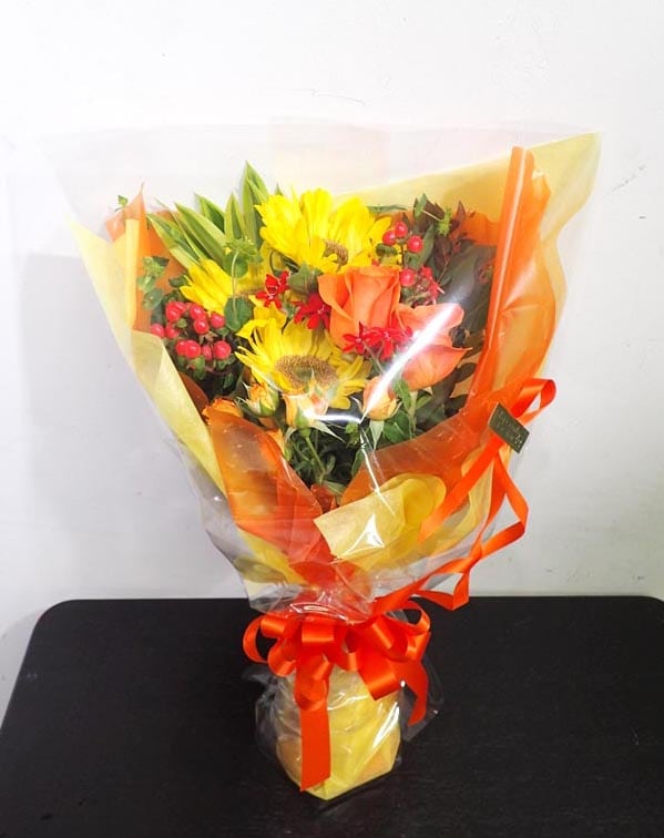 ��«��B-009��