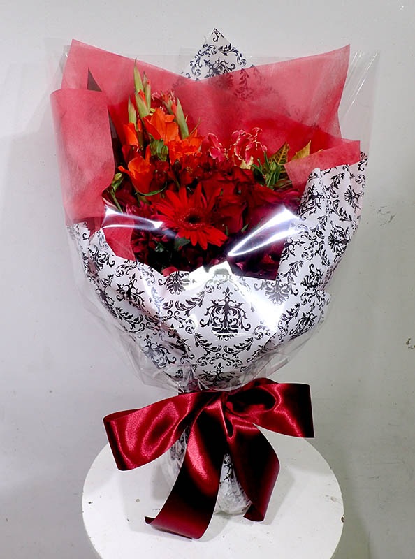 ��«��B-012��