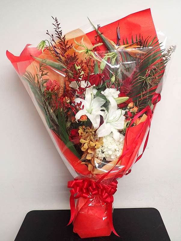 ��«��B-014��