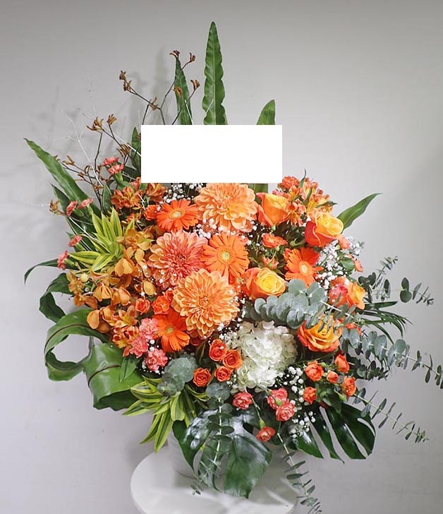 ����󥸥��ȡ�A-022��