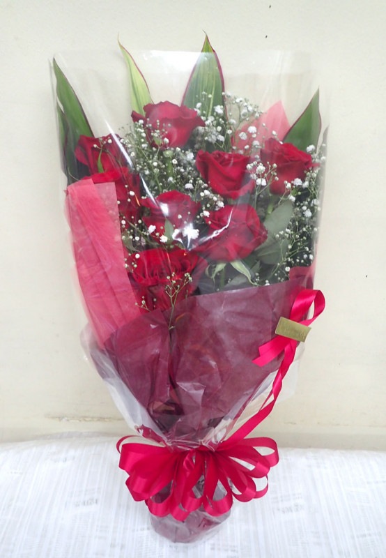 ��«��B-019��