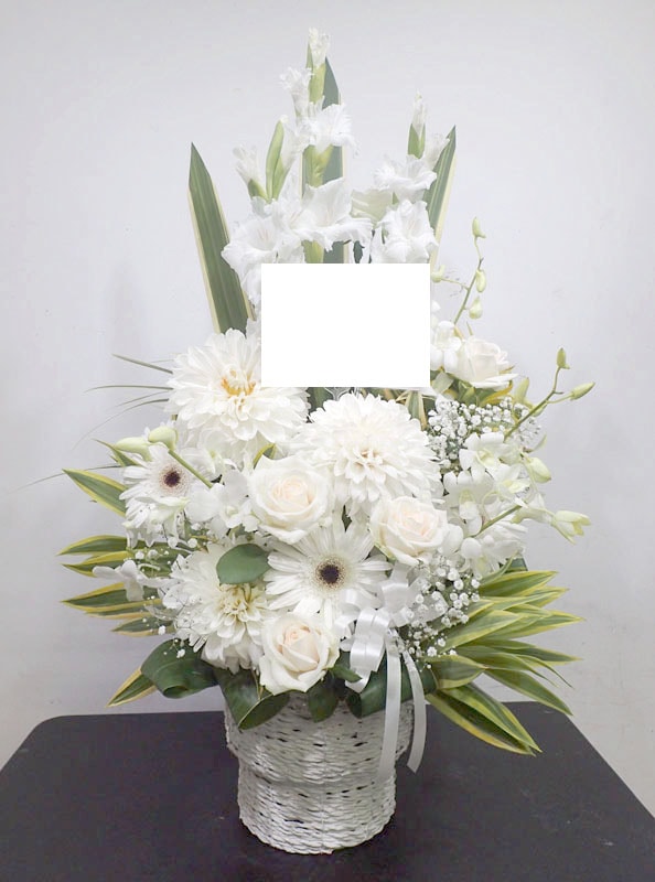 ����󥸥��ȡ�A-050��