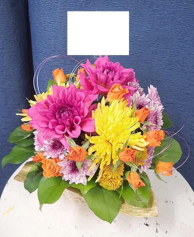 ����󥸥��ȡ�A-054��