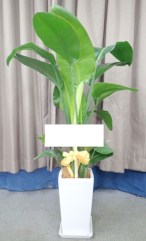 ������������G-013��