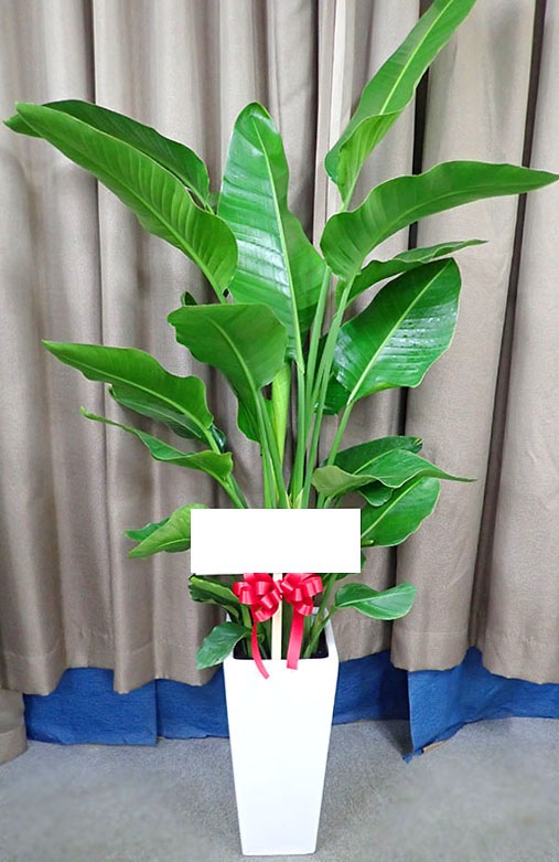 ������������G-023��