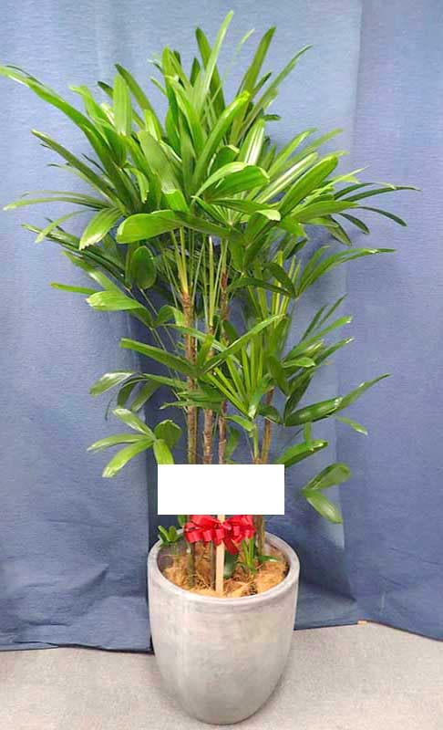 �Ѳ��ݡ�G-025��