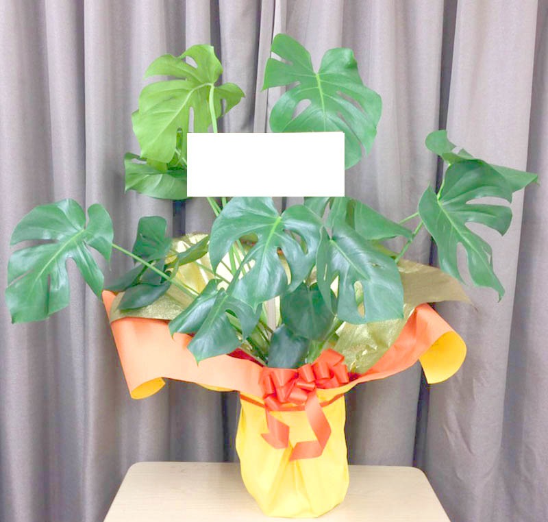 ��󥹥ƥ��G-027��