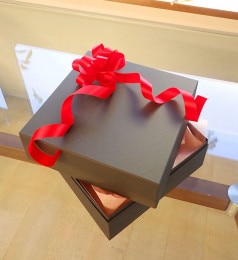 �������ѥץ쥼���BOX��CBox-01��