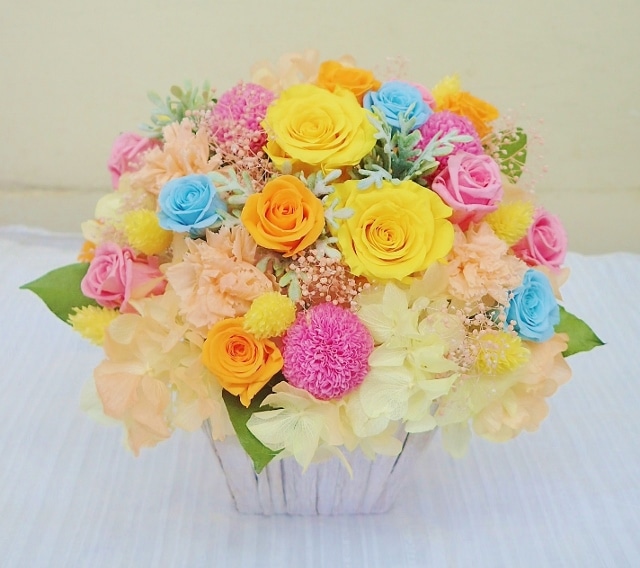 �ץꥶ���֥ɥե���P-005��