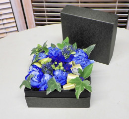 󥸥ܥåեHAHA005