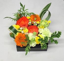 󥸥ܥåեHAHA006