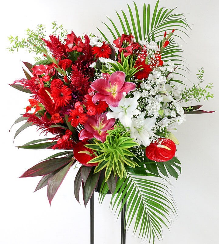 ������ɲ�1�ʡ�S01-020��