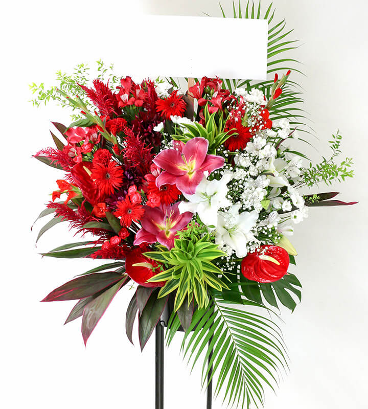 ������ɲ�1�ʡ�S01-020��