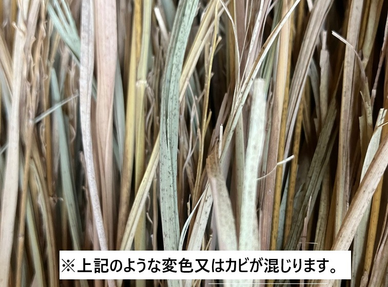 国産稲わら工芸品用【1kg】 | 稲わら | 稲わら畳通販の和楽 国産稲わら工芸品用【1kg】 | 稲わら | 稲わら畳通販の和楽