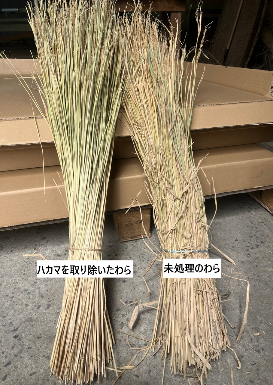 稲藁　国産 国産稲わら工芸品用【1kg】 | 稲わら | 稲わら畳通販の和楽