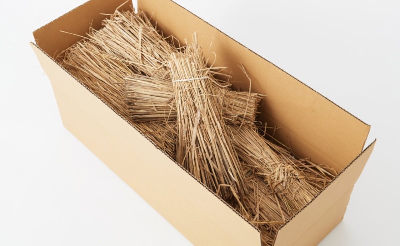 �񻺤�顡5Kg��1/2���åȡ�����ܡ�������