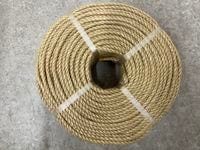 ������������ס�8�С�200��